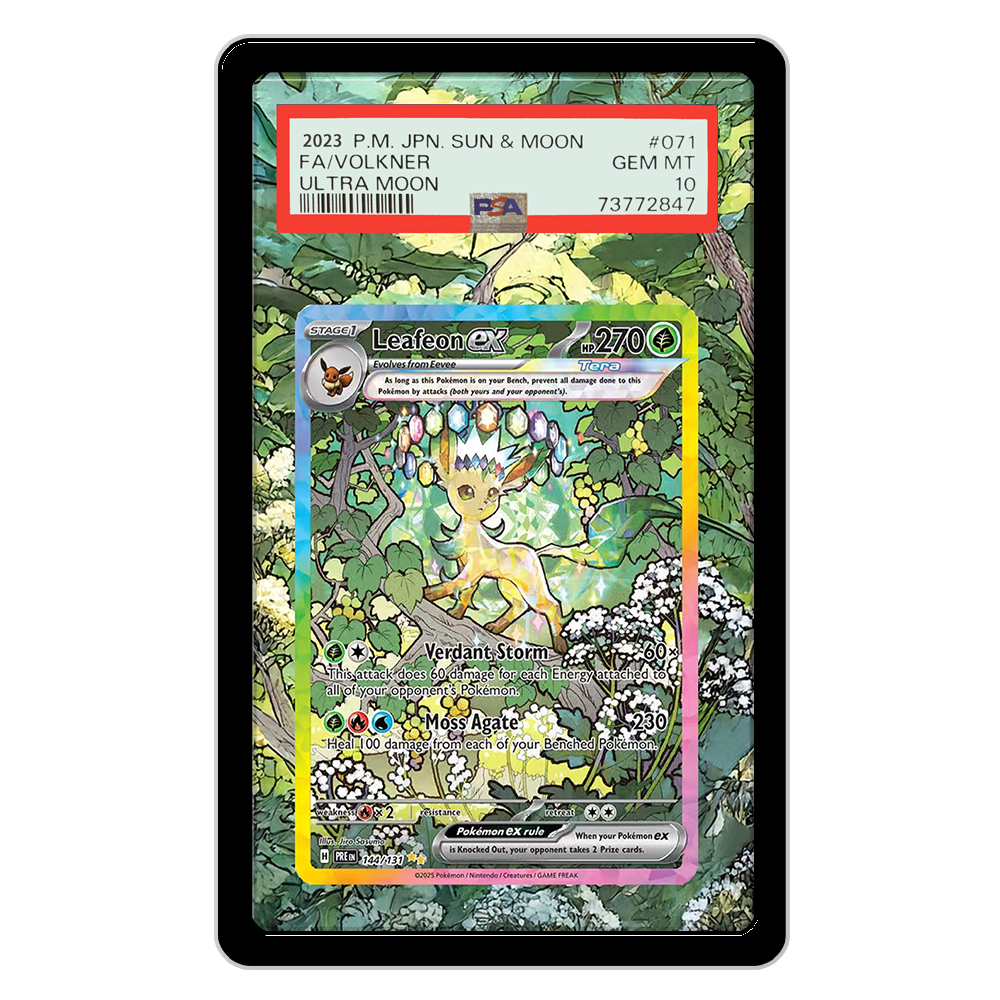 Pokemon Cards Display PTCG Lea - Display Case Acrylic review and price