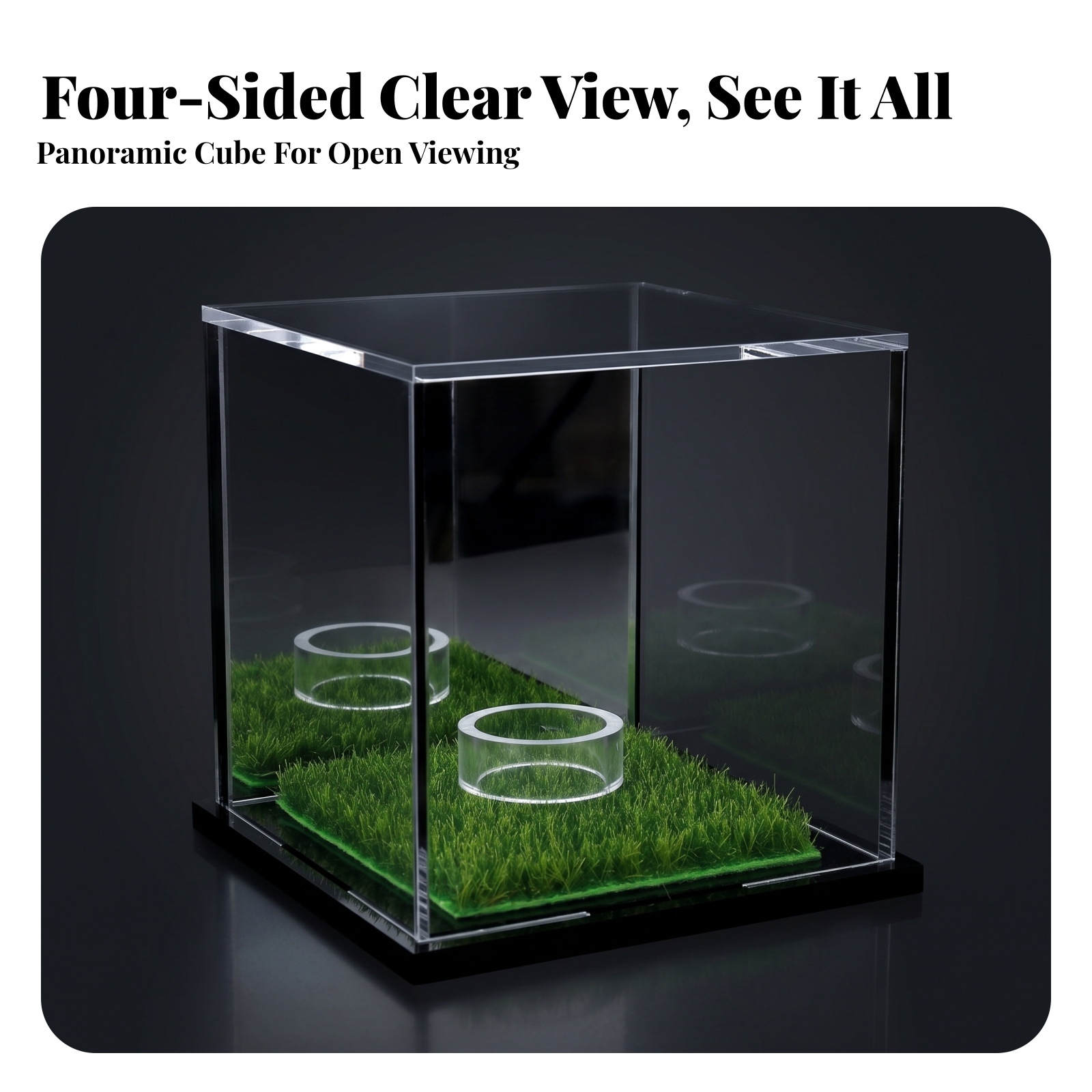 Acrylic Display Case Easy to C - Display Case Acrylic review and price