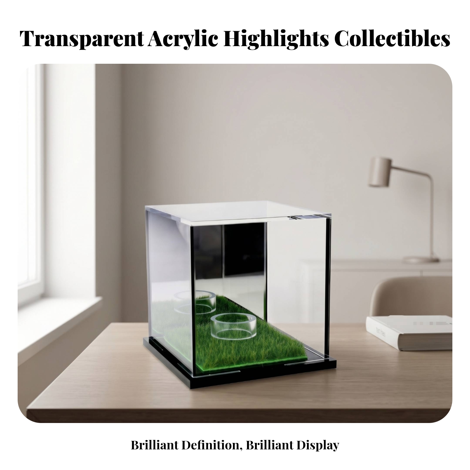 Acrylic Display Case Easy to C - Display Case Acrylic review and price