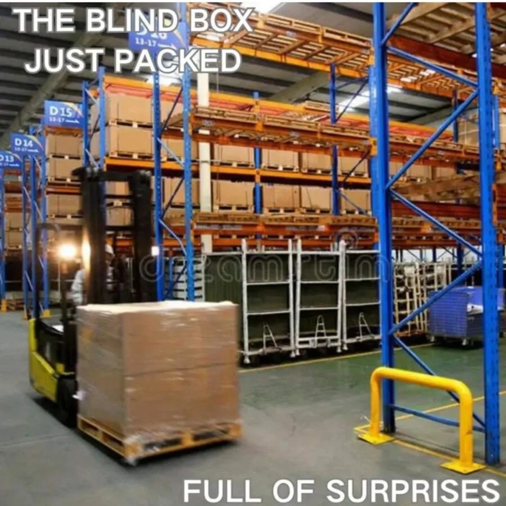 Super Surprise Mystery Box Ran - Mystery Box Blind Bag review and price